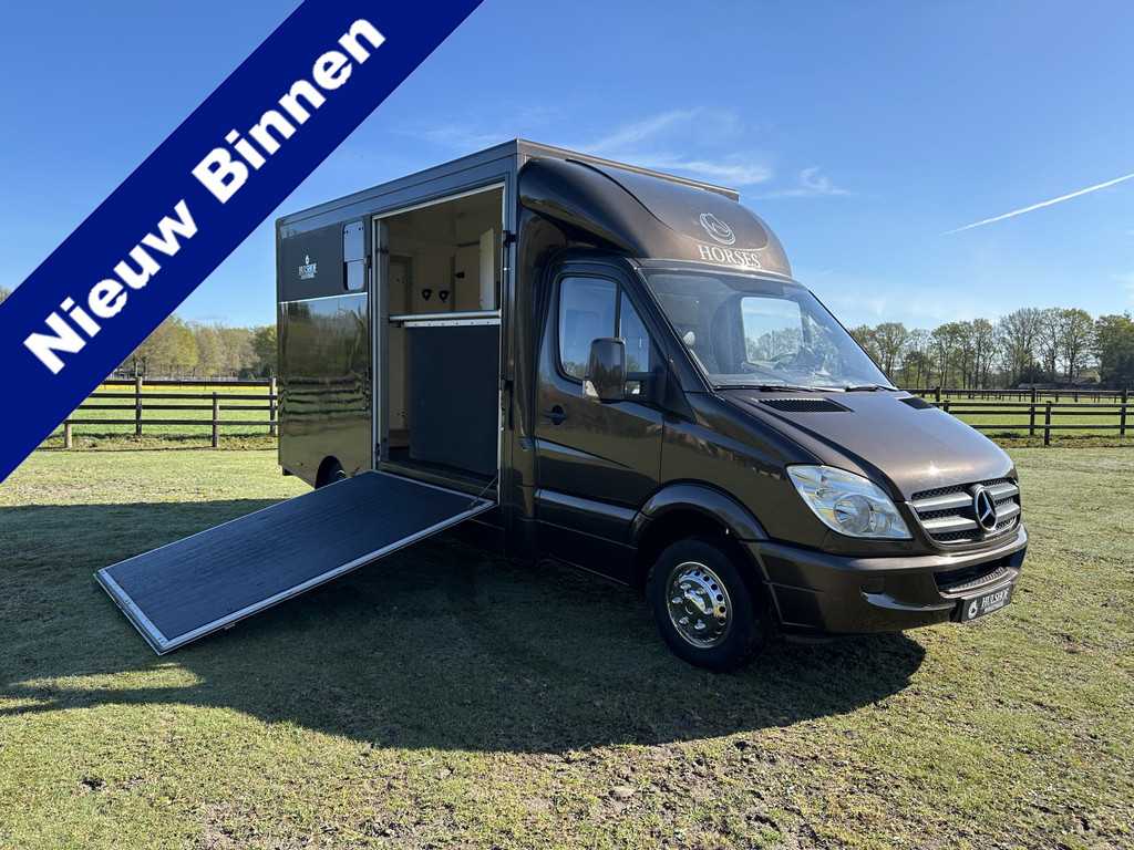 Mercedes-Benz Sprinter 2-paards paardenvrachtwagen B-Rijbewijs Automaat