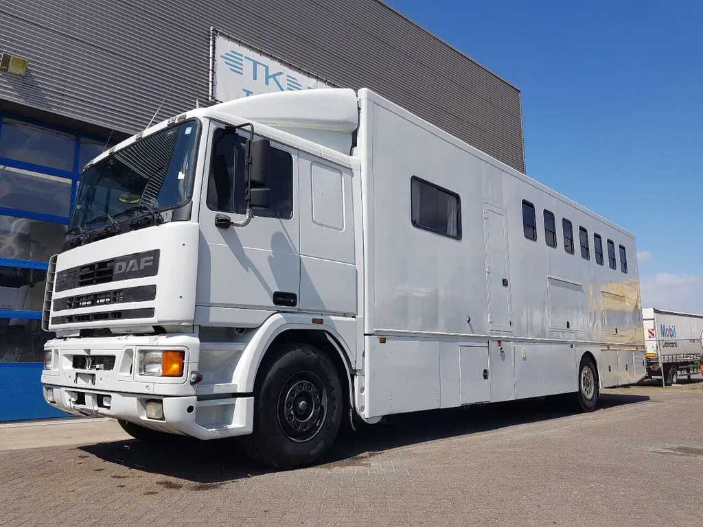 DAF 95.350 Paardenwagen met zitverblijf 7 paarden 7 horses horse truck