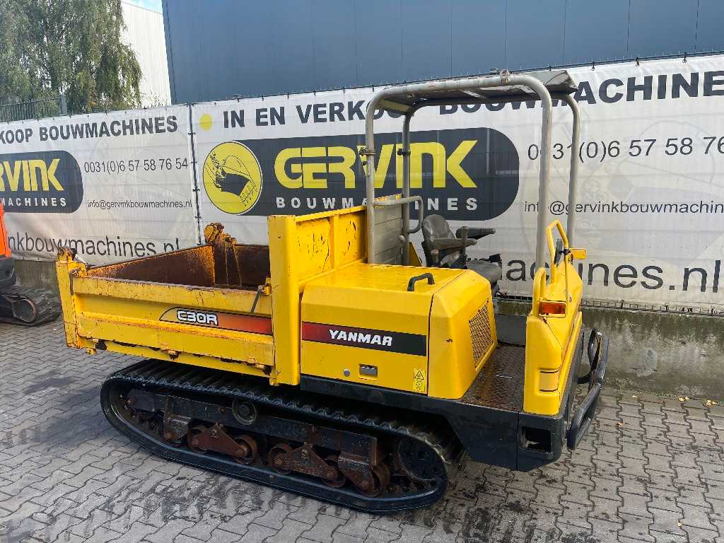 Yanmar C 30 R