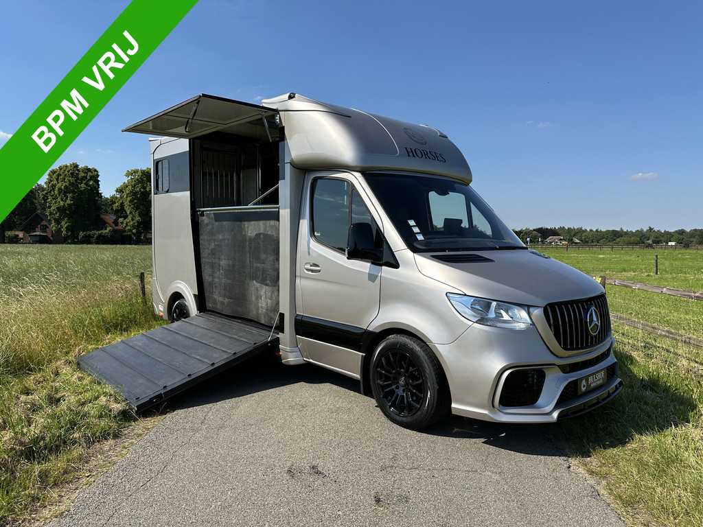 Mercedes-Benz Sprinter 314 AMG 2-paards paardenvrachtwagen  B-rijbewijs