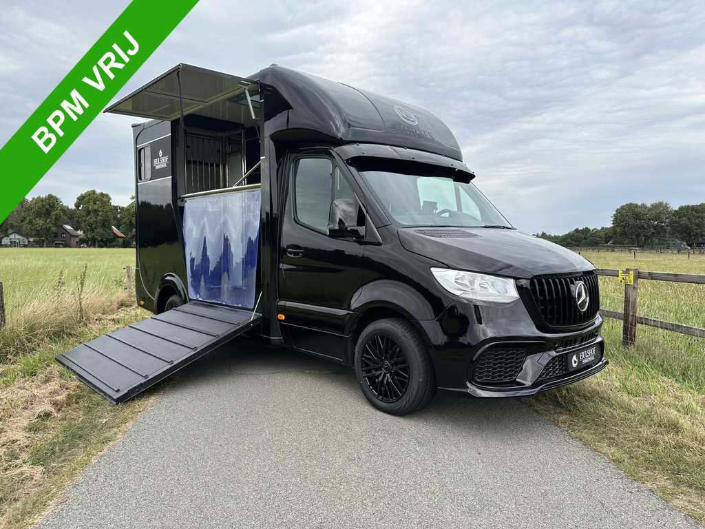 Mercedes-Benz Sprinter 315 AMG 2-paards paardenvrachtwagen B-rijbewijs