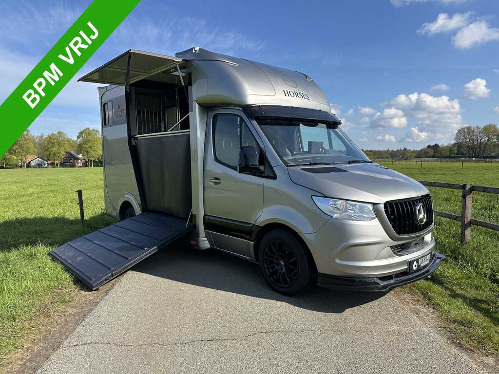 Mercedes-Benz Sprinter 317 AMG 2-paards Paardenvrachtwagen B-rijbewijs