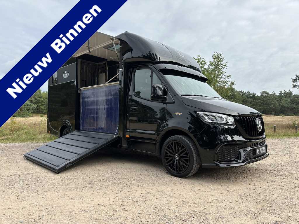 Mercedes-Benz Sprinter 317 AMG 2-paards paardenvrachtwagen B-rijbewijs