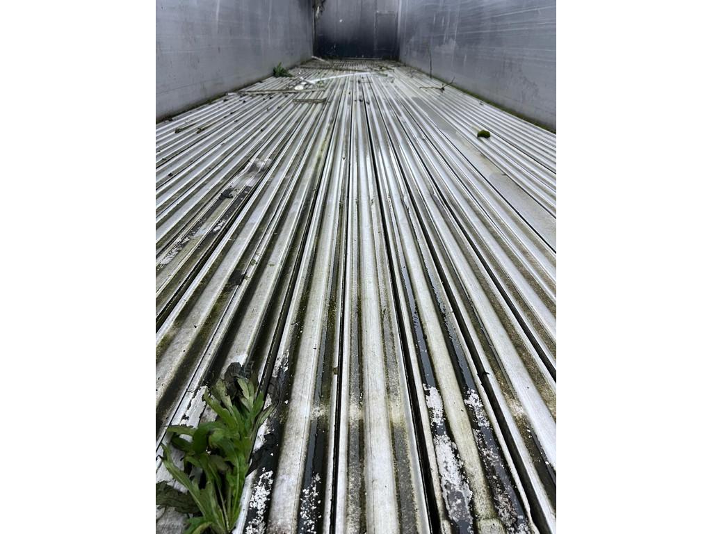 Foto 19
