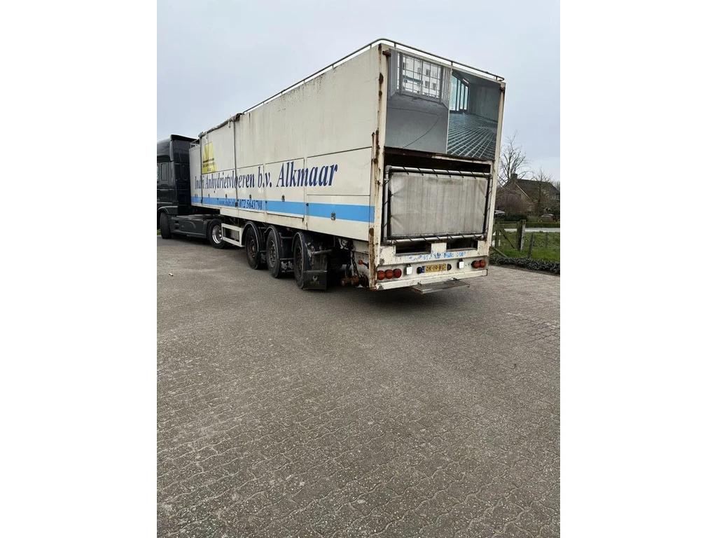 Foto 15
