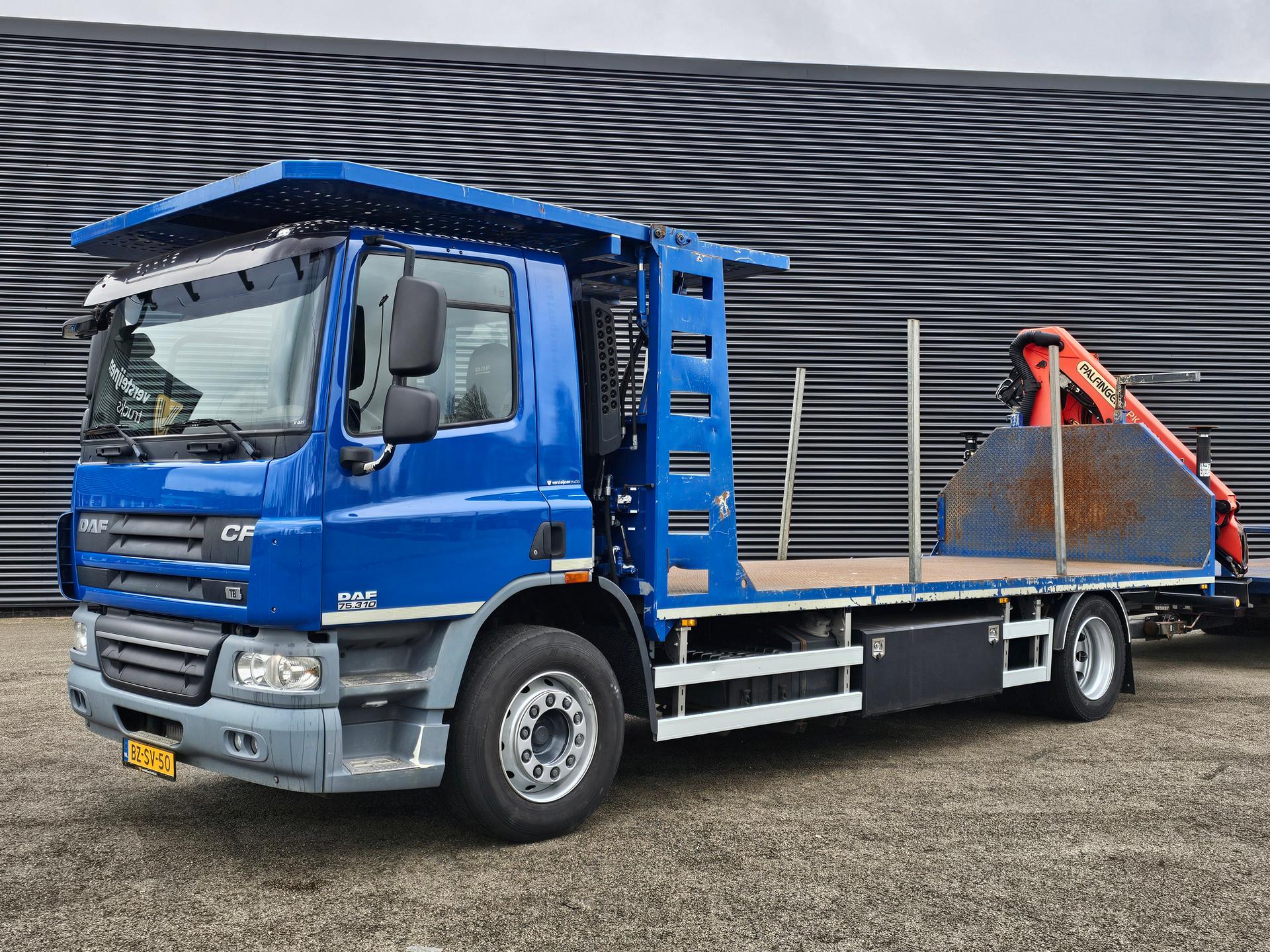 Foto 10 van DAF CF 75.310 / PALFINGER CRANE + TRAILER