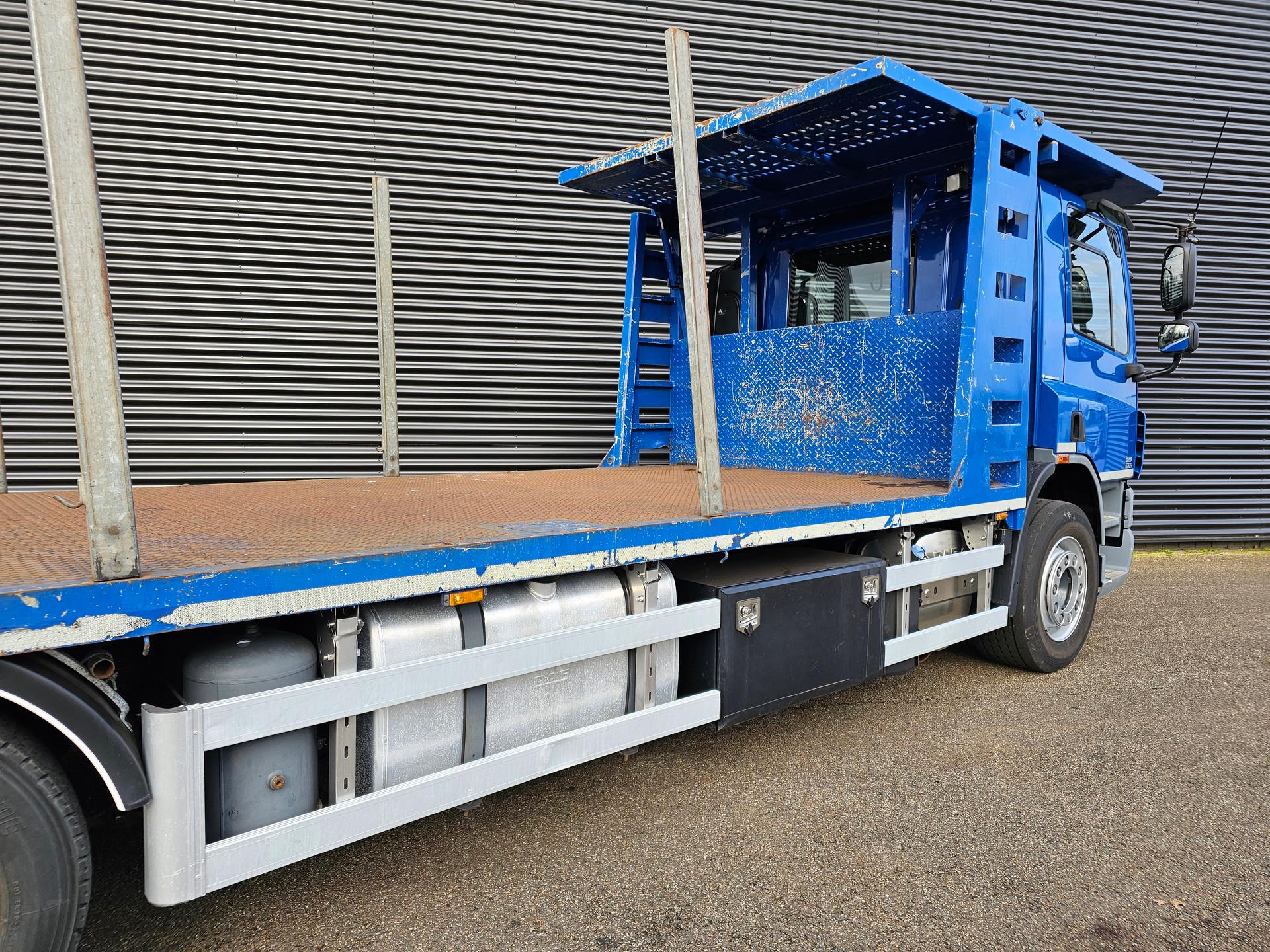 Foto 25 van DAF CF 75.310 / PALFINGER CRANE + TRAILER