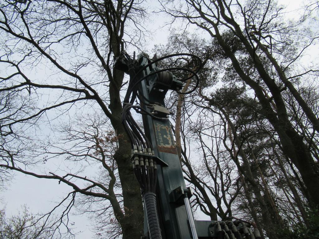 Foto 11