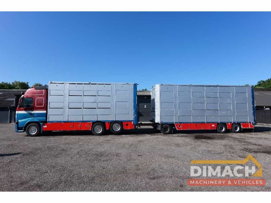 Volvo FH 13 480 6x2 3 stock livestock transport Cuppers DM1019
