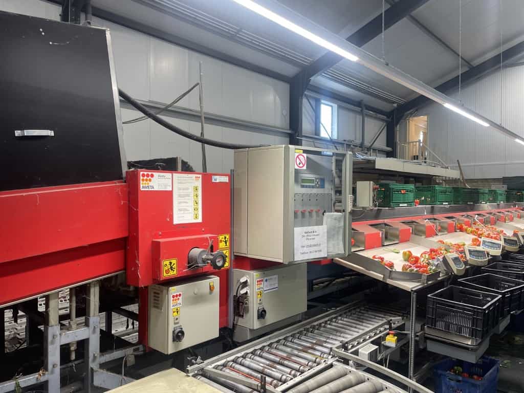 Aweta GMB4-12+1 paprikasorteermachine met opvoerband en weegschalen