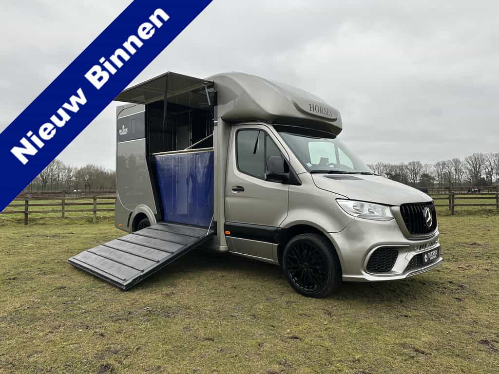Mercedes-Benz Sprinter 319 AMG 2-paards paardenvrachtwagen B-rijbewijs 3500KG trekhaak!