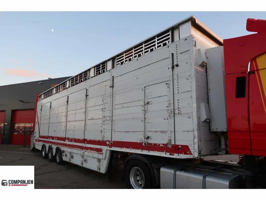 Pezzaioli SBA 32 - Cattle transport livestock semi-trailer