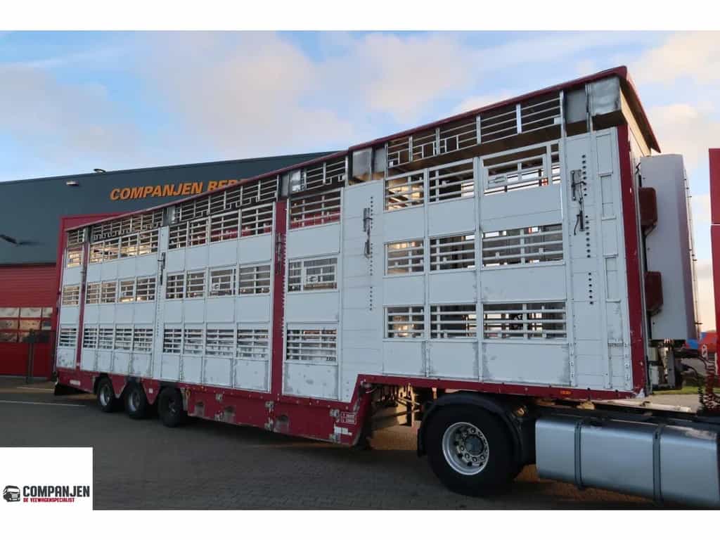 Pezzaioli SBA 31 - Cattle Transport livestock semi-trailer