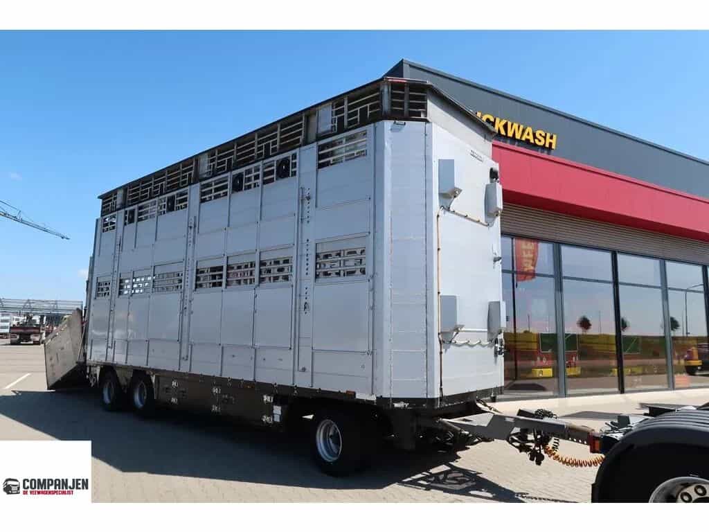 Pezzaioli RBA 31 - Cattle transport livestock trailer